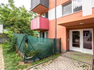 Pronájem bytu 1+kk, Praha, Herlíkovická, 43 m2