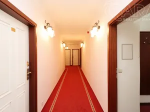 Pronájem bytu 1+kk, Praha - Vinohrady, Balbínova, 24 m2