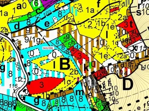 Dražba lesa, Spešov, 1372 m2