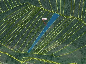 Dražba lesa, Milavče, 5152 m2