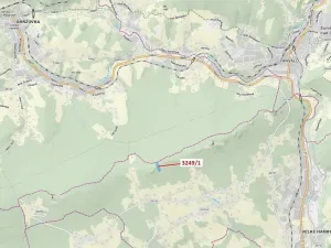 Dražba lesa, Velké Hamry, 5995 m2