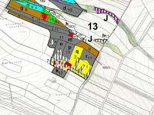 Dražba lesa, Přemyslovice, 7049 m2
