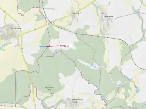 Dražba lesa, Stehlovice, 11078 m2