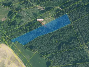 Dražba lesa, Přeborov, 11119 m2