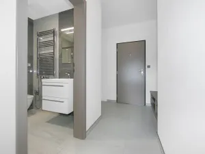 Pronájem bytu 1+kk, Zruč-Senec - Zruč, Sportovní, 42 m2