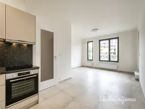 Pronájem bytu 2+kk, Praha - Čimice, Hrašeho, 53 m2