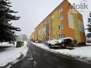 Prodej bytu 1+1, Jirkov, Pod Přivaděčem, 39 m2