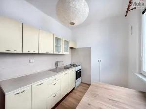 Pronájem bytu 2+1, Duchcov, Horská cesta, 52 m2