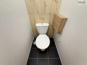 Pronájem bytu 2+1, Duchcov, Horská cesta, 52 m2