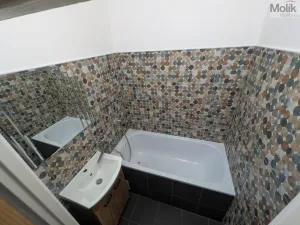 Pronájem bytu 2+1, Duchcov, Horská cesta, 52 m2