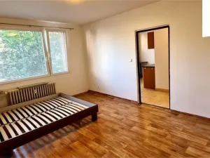 Pronájem bytu 1+1, Hradec Králové, Štefánikova, 38 m2