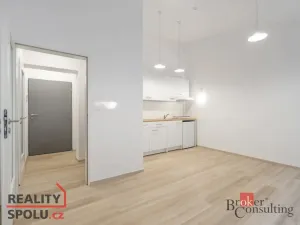 Pronájem bytu 1+kk, Brno - Horní Heršpice, Sokolova, 26 m2