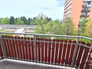 Pronájem bytu 1+1, Brno, Loosova, 37 m2