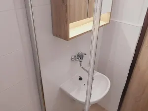 Pronájem bytu 1+kk, Valašské Meziříčí - Krásno nad Bečvou, Růžová, 24 m2