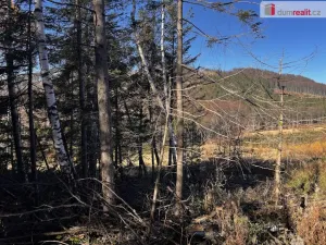 Prodej pozemku pro bydlení, Chvalčov, 3129 m2