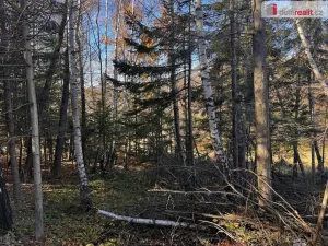 Prodej pozemku pro bydlení, Chvalčov, 3129 m2