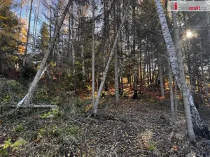 Prodej pozemku pro bydlení, Chvalčov, 3129 m2