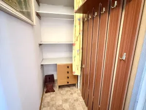 Pronájem bytu 1+1, Hradec Králové, Brožíkova, 44 m2