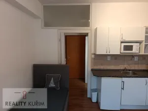 Pronájem bytu 1+kk, Brno, Pellicova, 19 m2