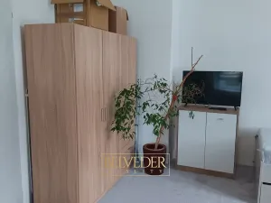 Pronájem bytu 1+1, Teplice, Americká, 38 m2