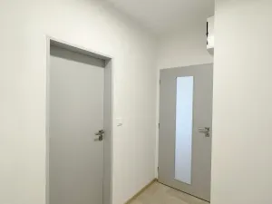 Pronájem bytu 1+kk, Olomouc, U solných mlýnů, 41 m2