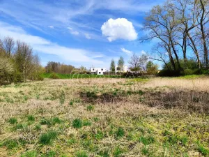 Prodej zahrady, Hostivice, Slunečnicová, 2892 m2