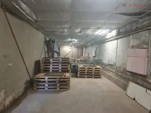 Prodej výrobních prostor, Radslavice, 3300 m2