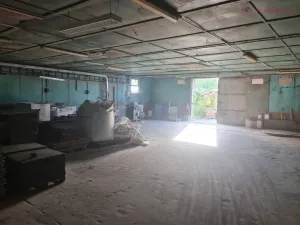 Prodej výrobních prostor, Radslavice, 3300 m2