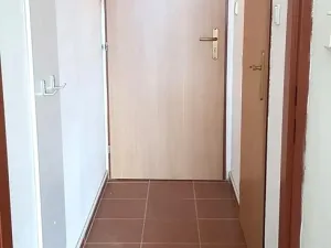 Pronájem bytu 2+kk, Plzeň - Jižní Předměstí, Hálkova, 50 m2