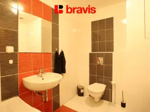 Pronájem bytu 1+kk, Brno - Starý Lískovec, U Leskavy, 35 m2