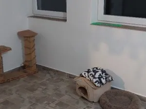 Prodej rodinného domu, Nový Malín, 150 m2