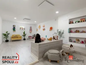 Pronájem bytu 1+kk, Bruntál, Příčná, 20 m2