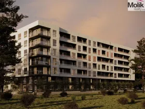 Prodej bytu 2+kk, Golem, 65 m2