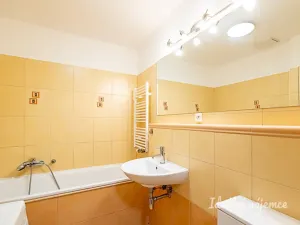 Pronájem bytu 1+kk, Praha - Žižkov, V zahrádkách, 38 m2