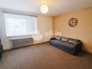Pronájem bytu 1+1, Vyškov - Vyškov-Město, Dvořákova, 44 m2