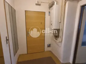 Pronájem bytu 1+1, Vyškov - Vyškov-Město, Dvořákova, 44 m2