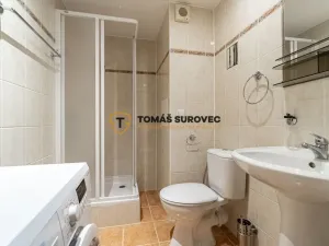 Prodej bytu 1+kk, Kroměříž, Oskol, 28 m2