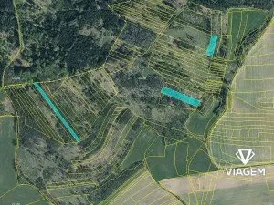 Prodej podílu lesa, Všepadly, 1092 m2