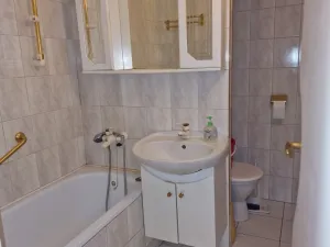 Pronájem bytu 1+kk, Brno - Bohunice, Okrouhlá, 30 m2