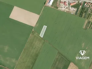 Prodej podílu pole, Vysoké Popovice, 813 m2