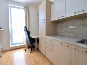 Pronájem bytu 1+kk, Brno - Bystrc, Markůvky, 30 m2