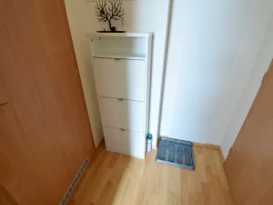 Pronájem bytu 1+kk, Brno - Bystrc, Markůvky, 30 m2