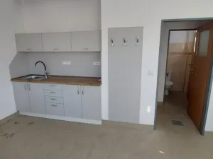 Pronájem výrobních prostor, Valašské Meziříčí - Bynina, 820 m2