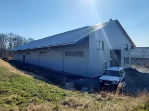 Pronájem výrobních prostor, Valašské Meziříčí - Bynina, 820 m2