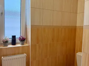 Prodej bytu 2+1, Podbořany, Komenského, 56 m2