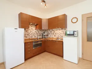 Pronájem bytu 1+kk, Praha, 42 m2