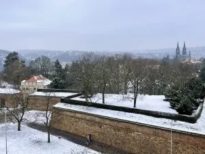 Pronájem bytu 3+1, Praha - Nusle, Na Bučance, 100 m2