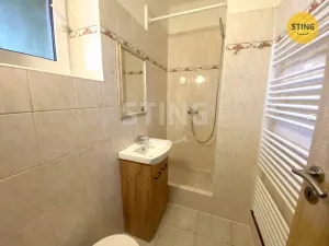 Pronájem bytu 2+1, Raduň, Mírová, 48 m2