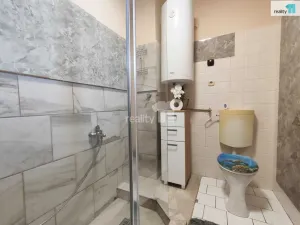 Prodej bytu 5+1, Chlumec nad Cidlinou - Kladruby, 223 m2