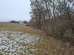 Prodej lesa, Lčovice, 759 m2